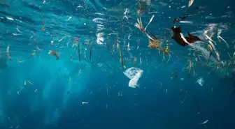 Mikroplastikler Okyanusların Derinliklerine Kadar Yayılıyor