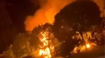 Sultangazi'de Ormanlık Alanda Yangın Paniği