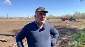 Yozgat'ta Şeker Pancarında Kuraklık ve Zorluklar