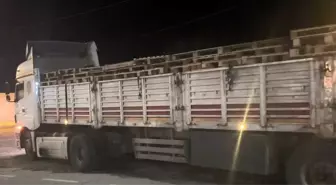 Bitlis'te Düzensiz Göçmen Operasyonu: 42 Göçmen ve 2 Organizör Yakalandı