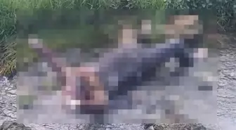 Firari Mahkum Yılmaz Kayık Dere Kenarında Ölü Bulundu