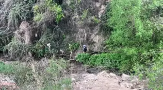 Bilecik'te Dilenci Zabıta Ekiplerinden Kaçmaya Çalıştı