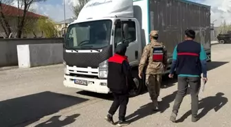 Diyadin'de Kurban Bayramı Öncesi Hayvan Denetimleri Artırıldı