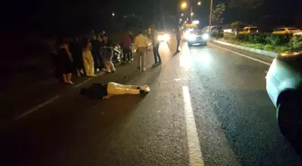 Domuz Sürüsüne Çarpan Motosiklet Sürücüsü Ağır Yaralandı