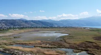 Milleyha Sulak Alanı'nda 12 Yeni Kuş Türü Gözlemlendi