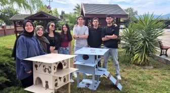 Havran Meslek Yüksekokulu Öğrencileri Sokak Kedileri İçin Kedi Evleri Tasarladı