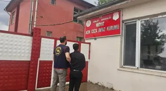 Firari Hükümlü Düğünde Bağlama Çalarken Yakalandı