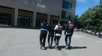 Kilis'te PKK Üyesi Tutuklandı