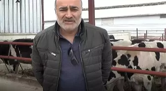 Kırşehir'de Kurbanlık Fiyatları ve Yem Denetimi Gündemde
