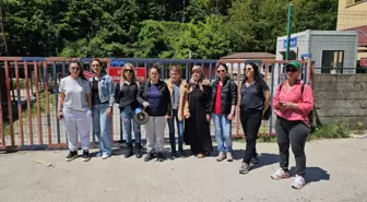 Zonguldak'ta Saldırgan Sokak Köpeği Uyutuldu, Hayvanseverlerden Tepki