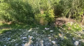 Elektrikle Balık Avlarken Hayatını Kaybetti