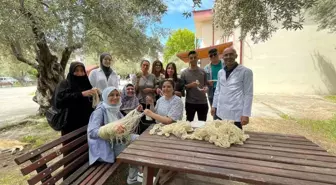 Öğrenciler Geleneksel Kök Boyamacılığını Öğreniyor