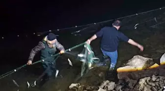 Van Gölü'nde İinci Kefali İçin Av Yasağı Uygulaması Sürüyor