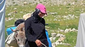 Zor Koşullarda Peynir Üretimi: Erzincan Göçerleri Hayata Tutunuyor