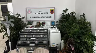 Uyuşturucu İmalatı Yapan Şüpheli Tutuklandı