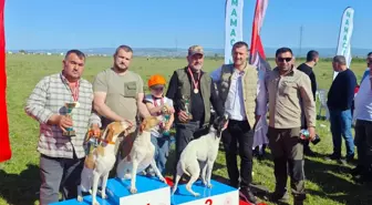 Yenişehir'de Fermalı Av Köpekleri Yarışması Yapıldı