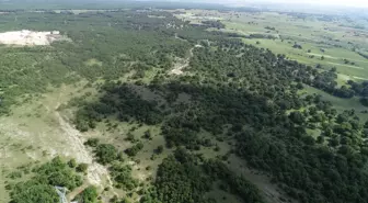 Kırklareli'nde Ormanlara Giriş 177 Gün Süreyle Yasaklandı