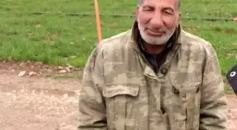 Ceylanpınar'da Koyun Otlatan Adama Otomobil Çarptı: Bir Ölü