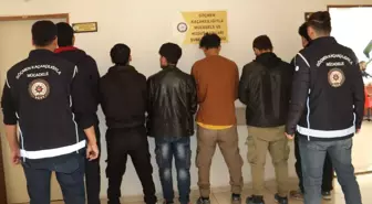 Amasya'da Kaçak Göçmen Taşıyan Sürücü Gözaltına Alındı
