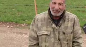 Ceylanpınar'da Çoban Otomobilin Çarpması Sonucu Hayatını Kaybetti