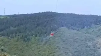 Sultangazi'de Kent Ormanı'nda Yangın Çıktı