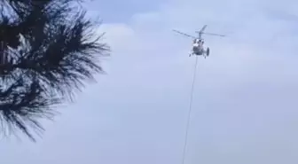Sultangazi Kent Ormanı'nda yangın - 1