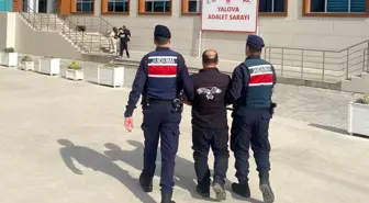 Hırsızlık Suçundan Aranan Şahıs Yalova'da Yakalandı
