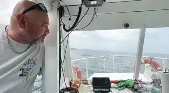 Kaptan ve Martı Arasındaki Dostluk: Oluş