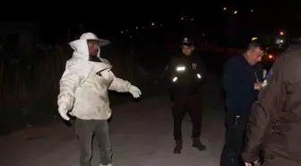 Konya'da Arı Kovanı Yüklü Kamyonet Devrildi: Arılar Etrafa Saçıldı