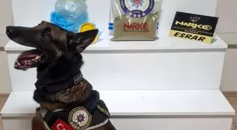 Balıkesir'de Narkotik Ekiplerinden Uyuşturucu Operasyonu: 803 Gram Toz Esrar Ele Geçirildi