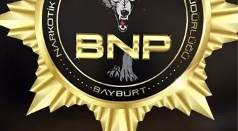 Bayburt'ta Uyuşturucu Operasyonu: 16,96 Gram Kokain Ele Geçirildi