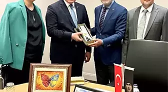 Cumhurbaşkanı Başdanışmanı Topçu: 'Hindistan'ın Pakistan'a yaptığı bu kışkırtıcı saldırısını kınıyoruz'
