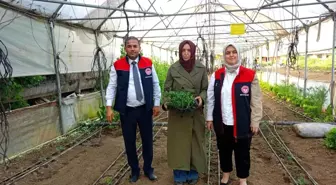 Düzce'de Kadın Üreticilerin Sera Ziyareti