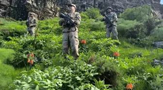 Hakkari'de Ters Laleler Koruma Altında
