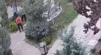 Mardin'de Parktaki Ağaçlara Zarar Veren Gençler Güvenlik Kamerasında