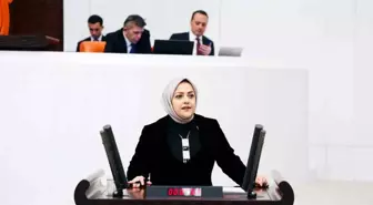 Denizli Milletvekili Sema Silkin Ün, Ev Kadınlarının Emeğine Dikkat Çekti