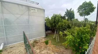 Serik'te Kamyonet Sera Bahçesine Girdi: 1 Yaralı