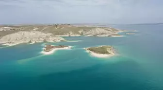 Martı Adası, Yüzlerce Martıya Ev Sahipliği Yapıyor