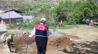 Elazığ'da Haşere ve Sinek İlaçlaması Başlatıldı