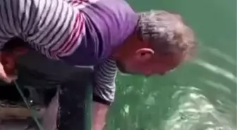 Balıkçıdan Yunus'a Eğlenceli Uyarı