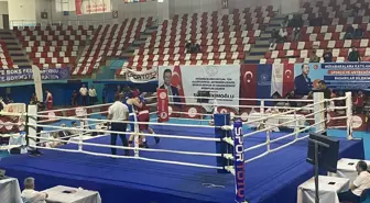 Ağrı'da Genç Erkekler Türkiye Ferdi Boks Şampiyonası Sonuçlandı