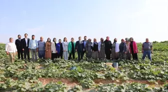 AK Parti Genel Başkan Yardımcısı Kaya, Adana'da ziyaretlerde bulundu