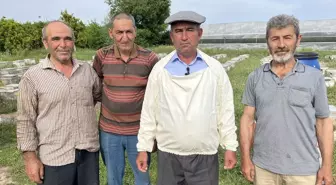 Kumluca'da Narenciye Balı Hasadı Başladı