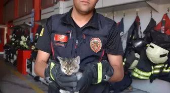 Konya'da Motor Kısmına Sıkışan Kedi Yavrusunu İtfaiye Kurtardı