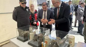 Dünya Arı Günü Ardahan'da Kutlandı