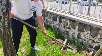 Arguvan'da öğrenciler okul bahçesine fidan dikti