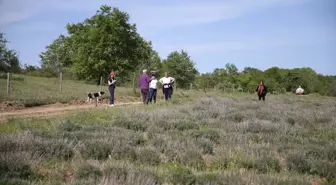 Lalapaşa'da Apiturizm ile Alternatif Turizm Potansiyeli Geliştiriliyor