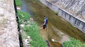 Batman Belediyesi'nden Sinek Şikayetlerine Yanıt