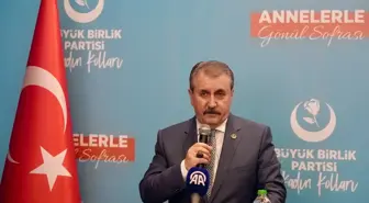 Mustafa Destici: 'Yangın Müsebbipleri Cezasını Almalı'