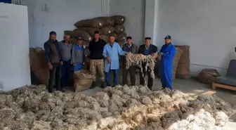 Beypazarı'nda Tiftik Alımları Başladı